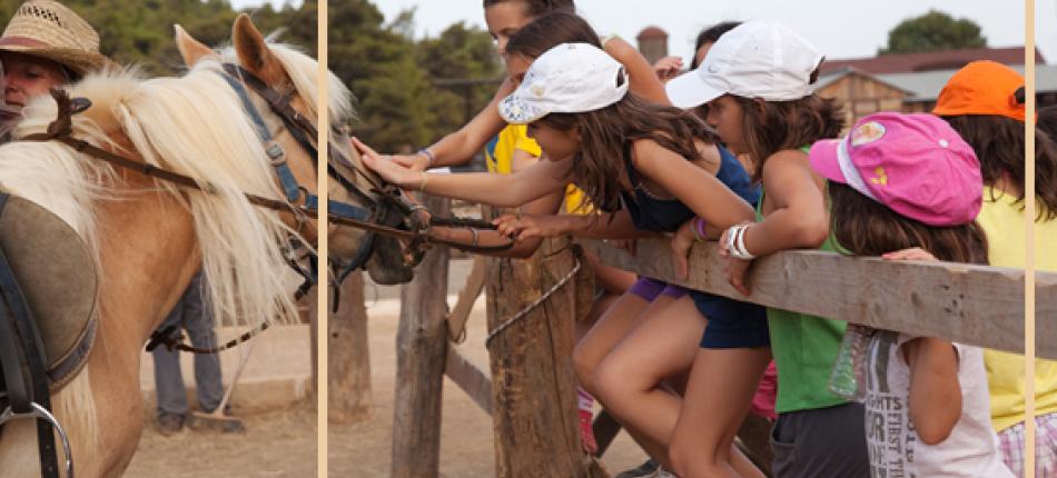 children in front of a pony